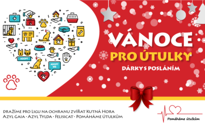 Vánoce pro útulky Vol. 2 – Dárky s posláním!