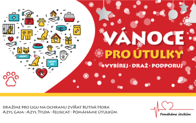 Vánoce pro útulky
